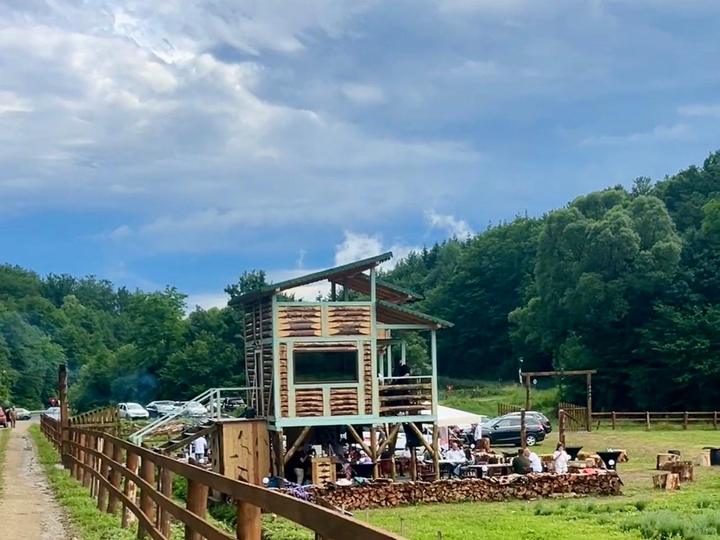 The cabin and the fence line on a summer afternoon